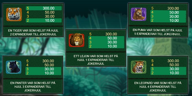 utbetalning på exotic cats