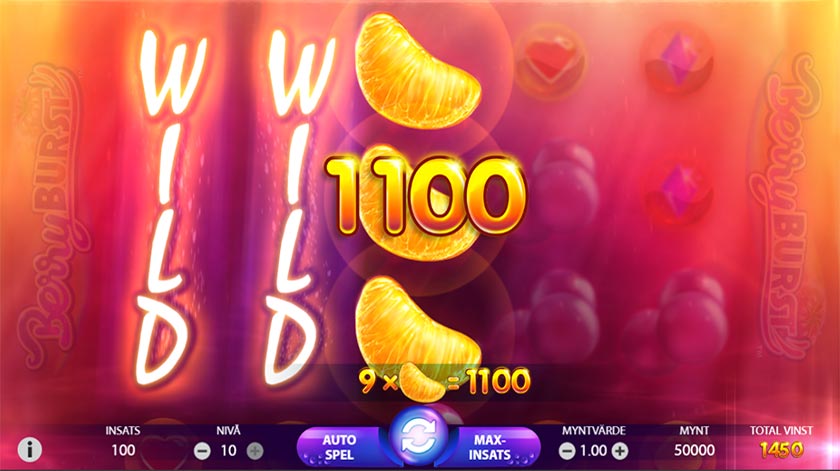 wild vinster hos berryburst
